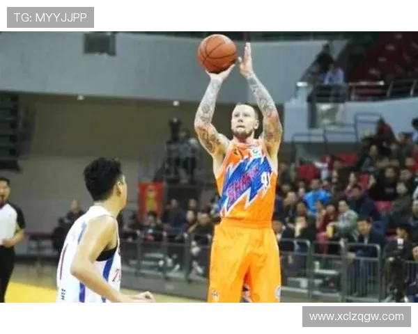 鲨鱼姚明携手共创海洋保护新理念引发全民关注与热议